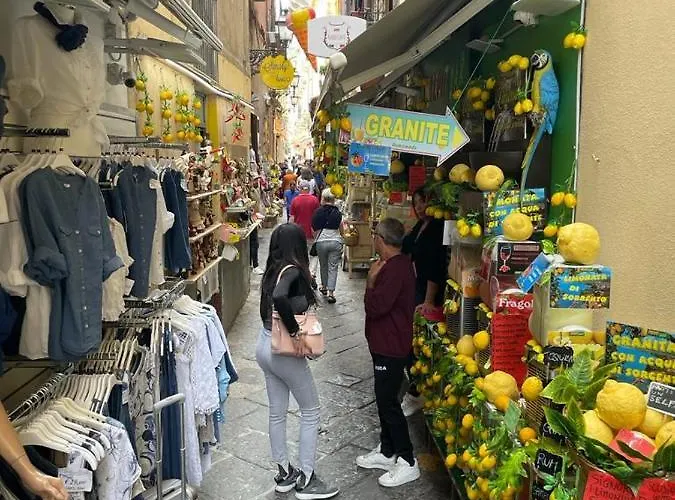 Appartement Windsurf Front