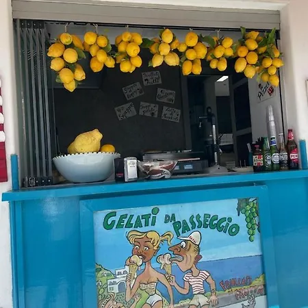 Windsurf Front Apartment