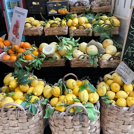 Windsurf Front דירה