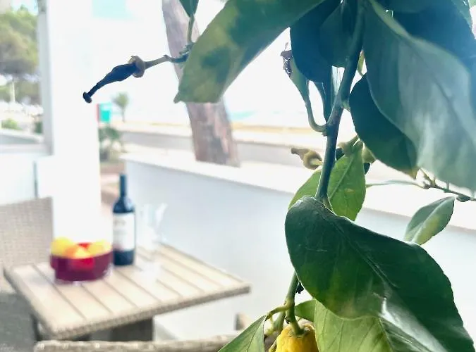 Luxury Beach Front *