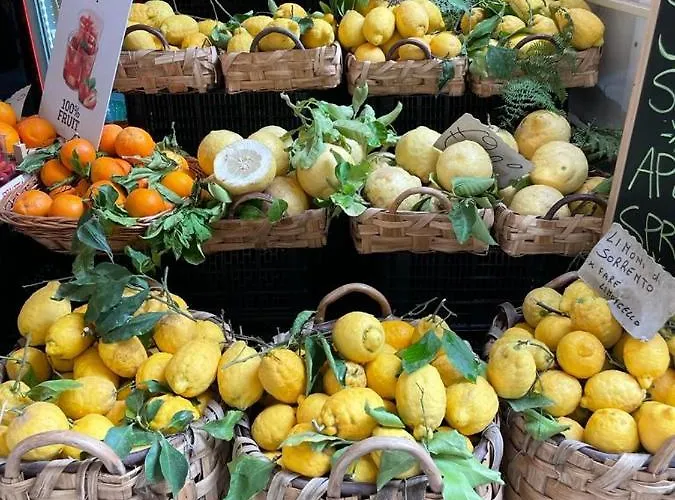 Luxury Beach Front Daire